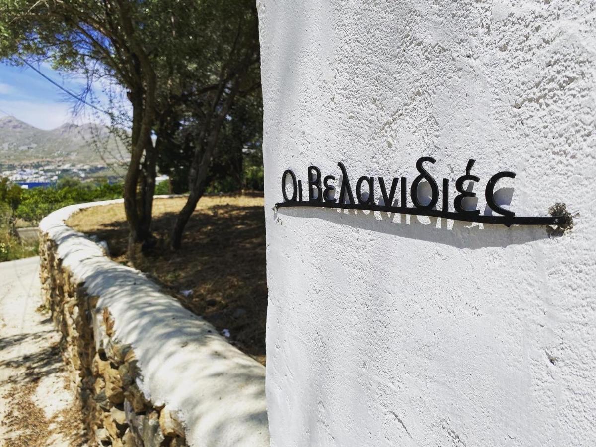 The Velanidies - Οι Βελανιδιές Agia Marina  Dış mekan fotoğraf