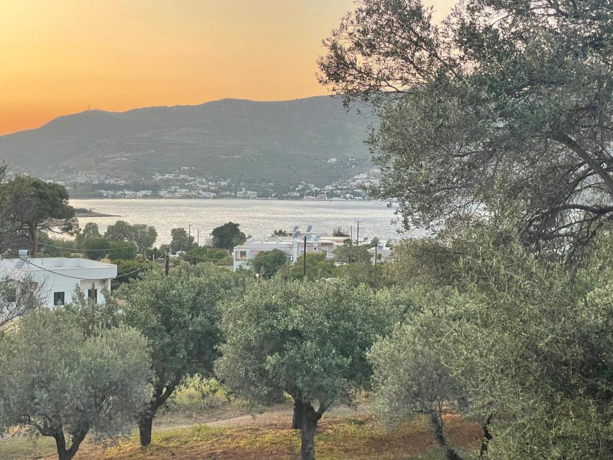The Velanidies - Οι Βελανιδιές Agia Marina  Dış mekan fotoğraf