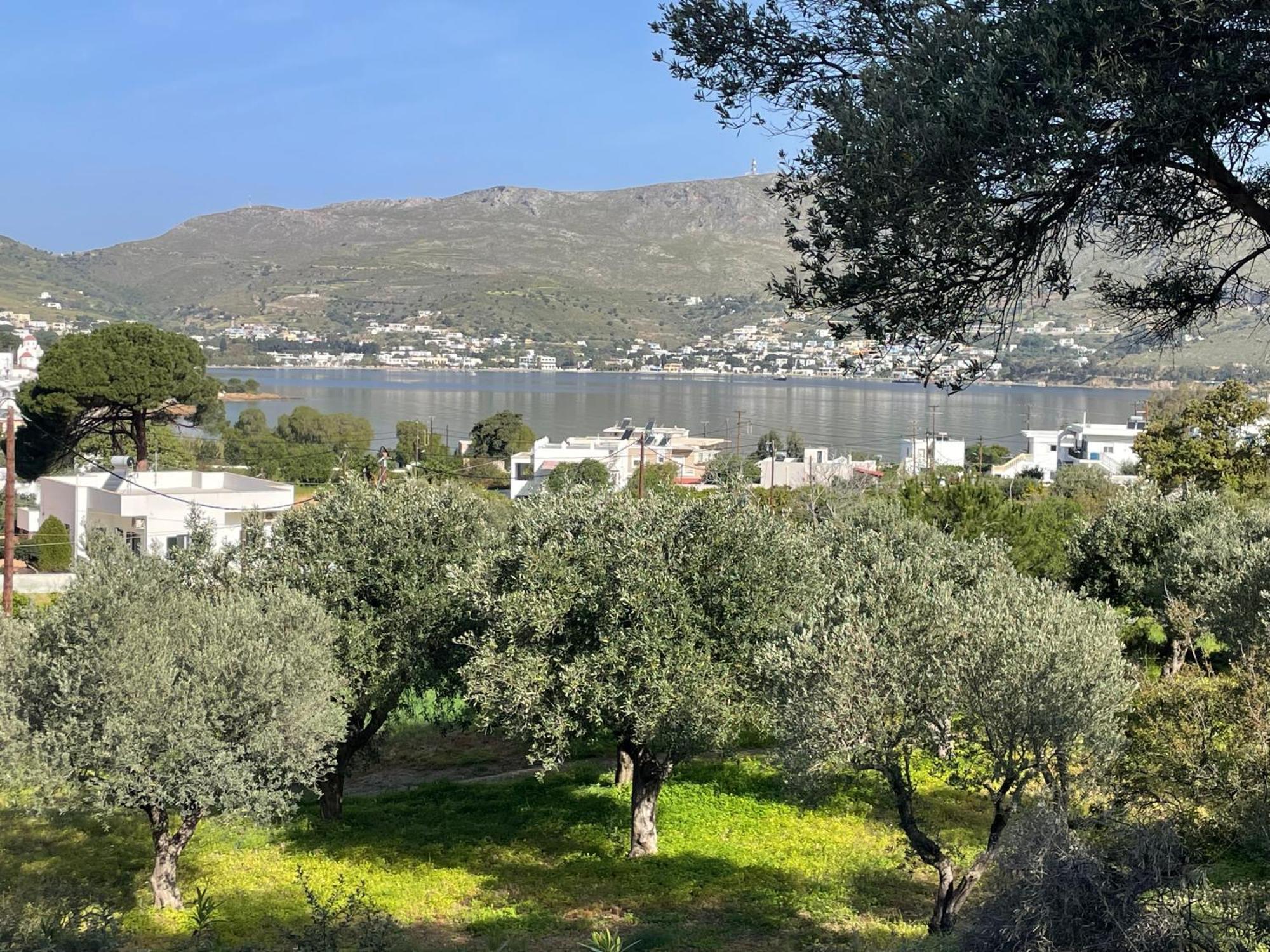 The Velanidies - Οι Βελανιδιές Agia Marina  Dış mekan fotoğraf